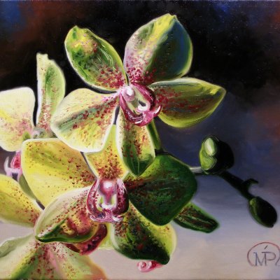 Paired Orchid 2