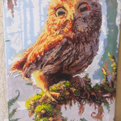 Fabulous Owl!
