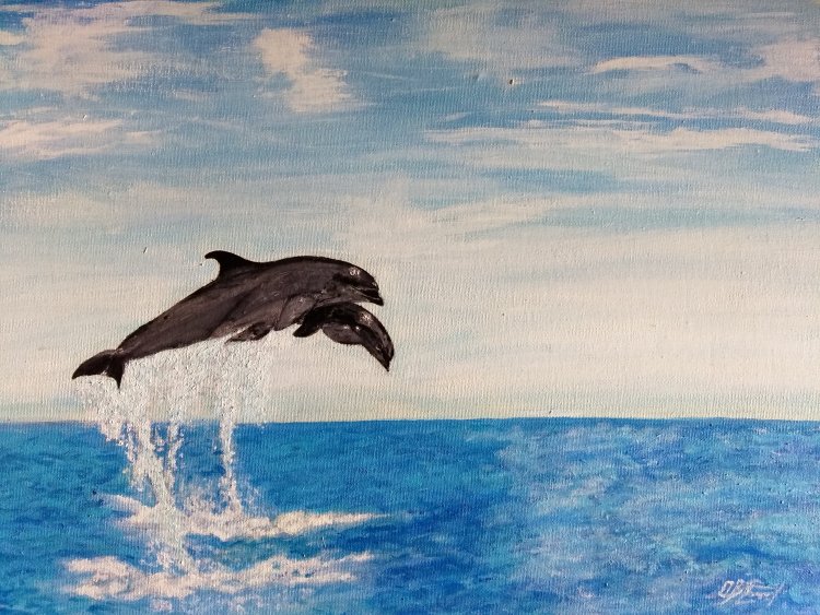 Dolphins