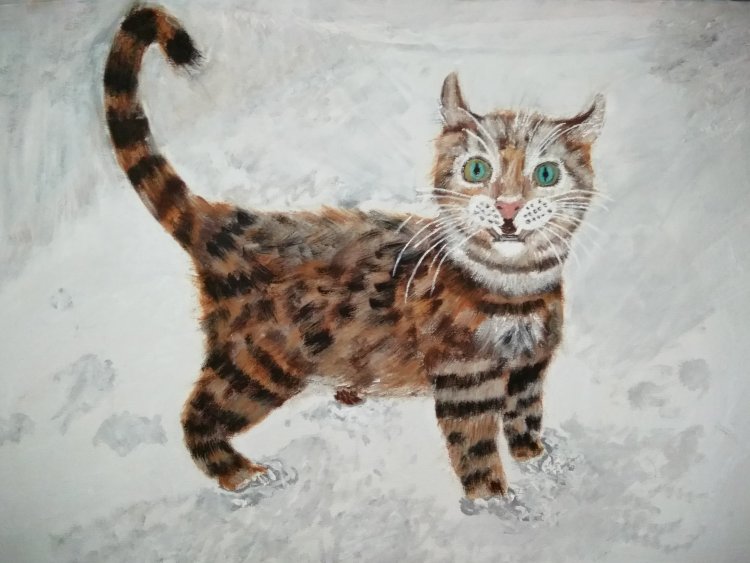 Winter Cat