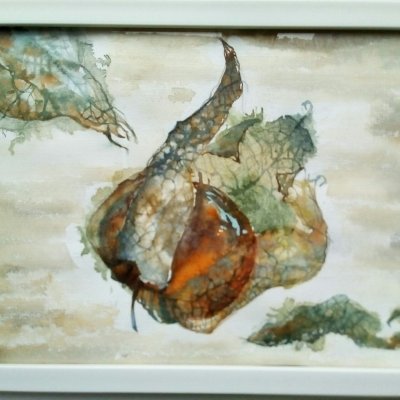 Картина акварелью "Физалис"