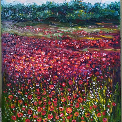 Field with red colors