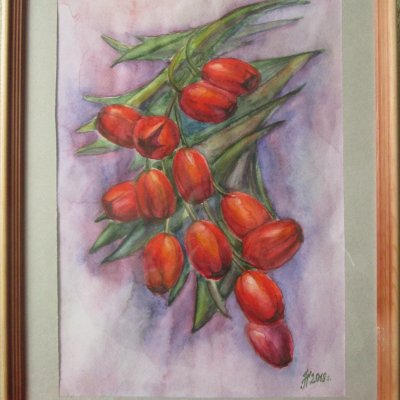 Tulips