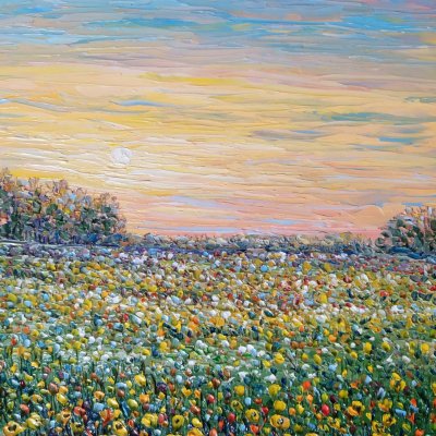 Sunset over a field with flowers