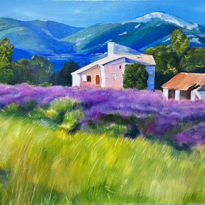 A house in a lavender field