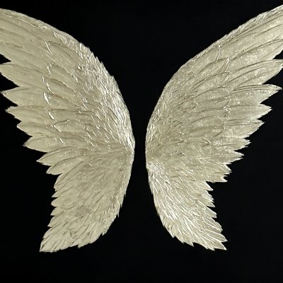 Platinum angel wings