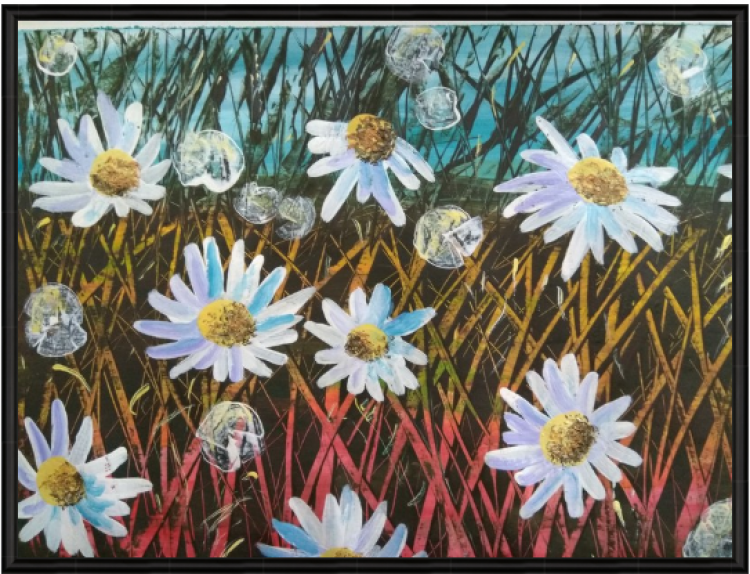 Daisies