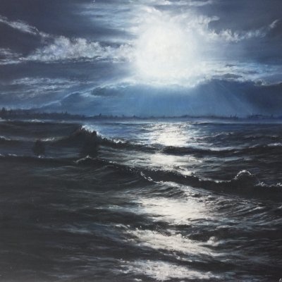 The sea on a moonlit night