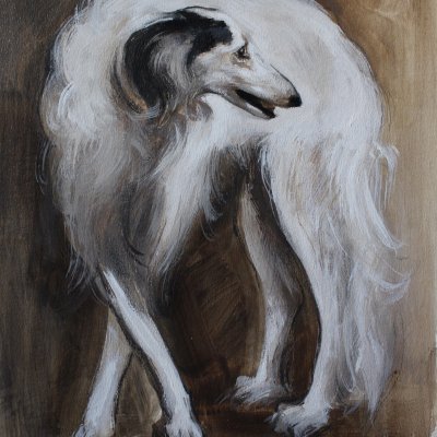 Greyhound sketch