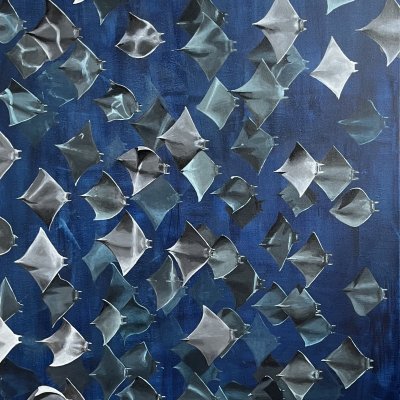 Stingray migration