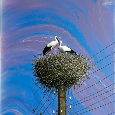 Storks in the nest