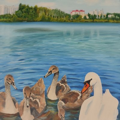 swans
