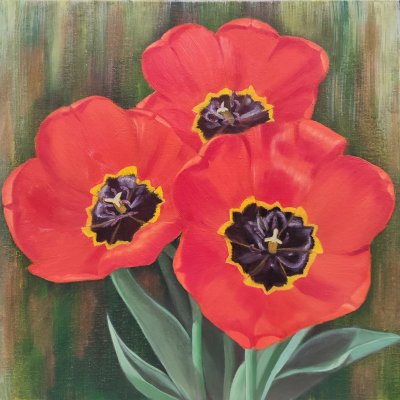 Red tulips