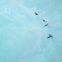 Swallows
