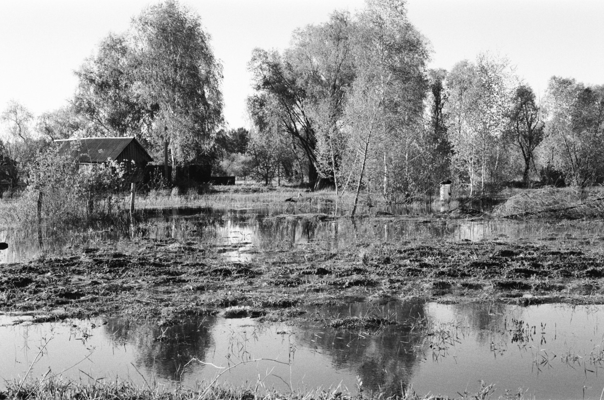 Фото обложки