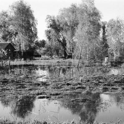 Палессе. Разводдзе. Бусел.