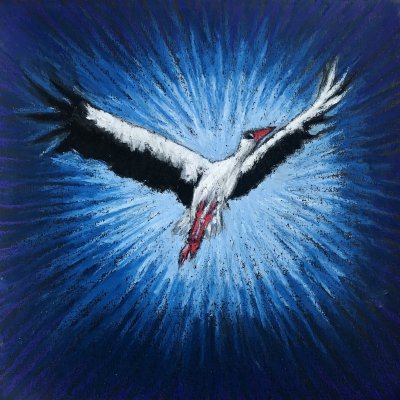 Stork