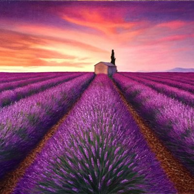 Lavender sunset