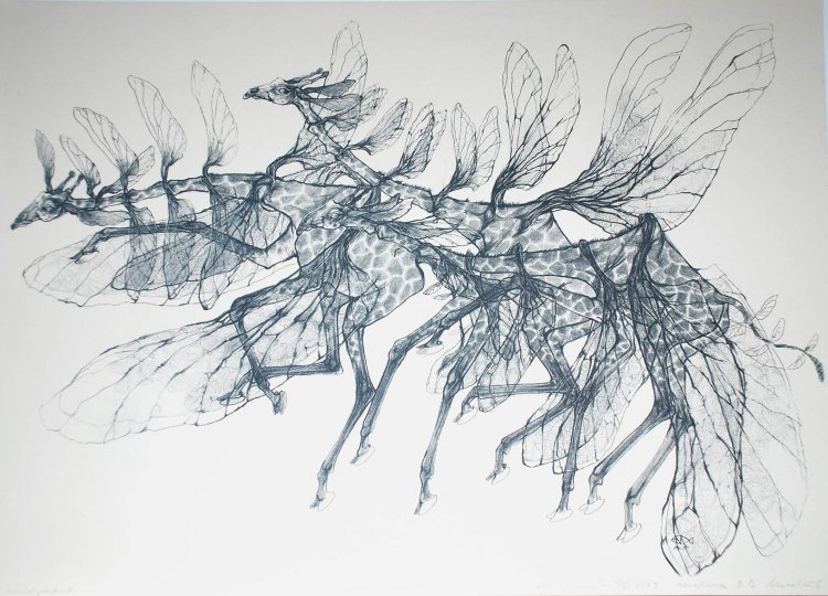 Migration