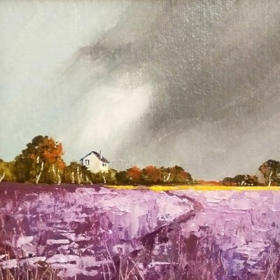 Lavender field (in frame)
