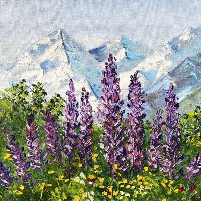 Lupins in the mountains