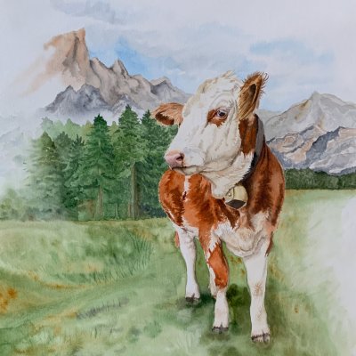Альпийская коровушка