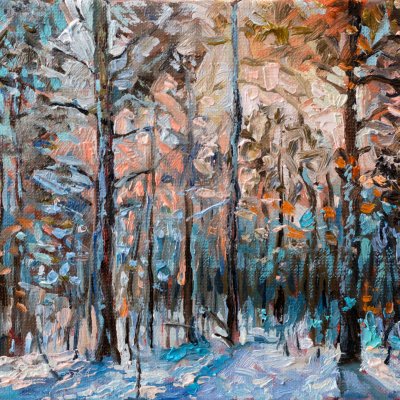 Winter forest