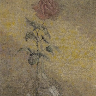 Rose in the shade