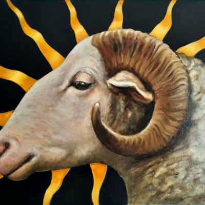 "Ovis"