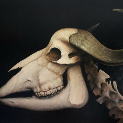 "Bones"