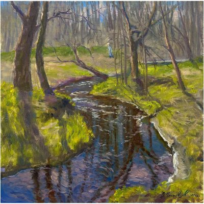 Forest rivulet in spring