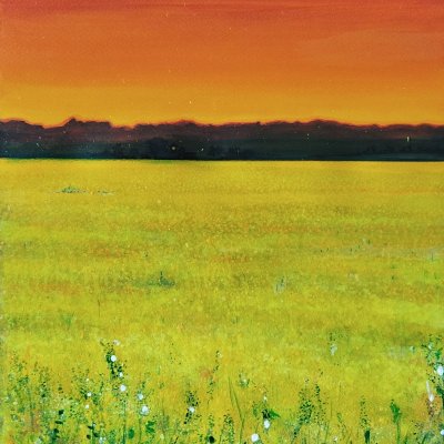 Поле в красном
