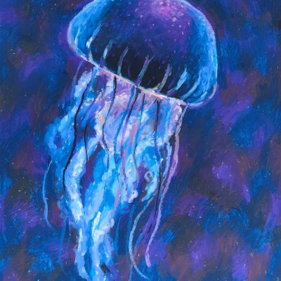 Jellyfish