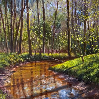Spring stream