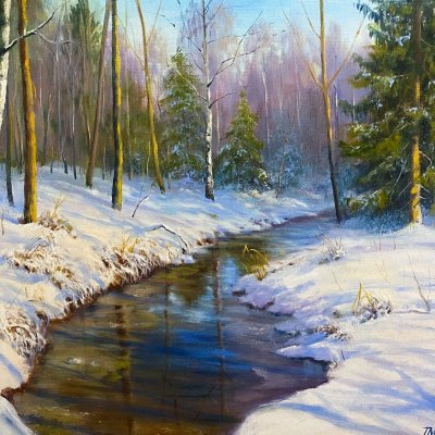 A stream in the winter forest