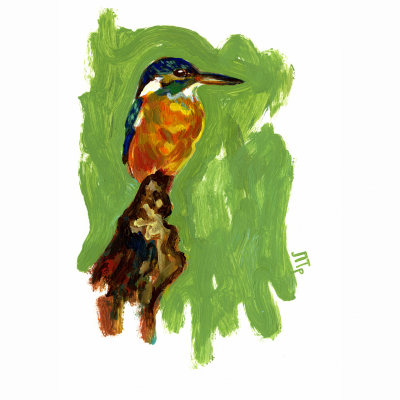 Kingfisher