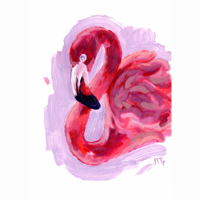 Flamingo