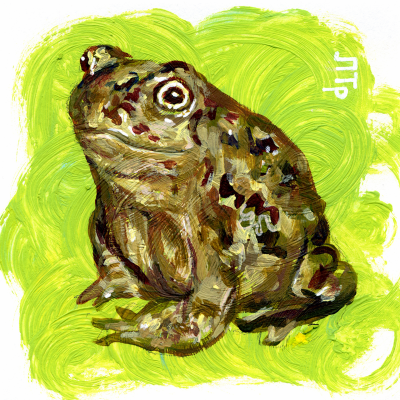 Frog