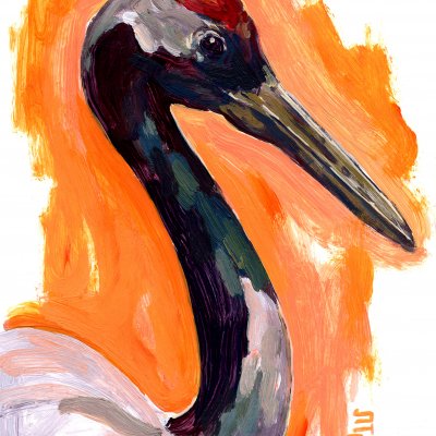 Red-headed crane