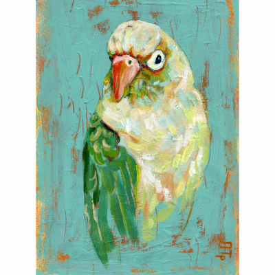 Parrot