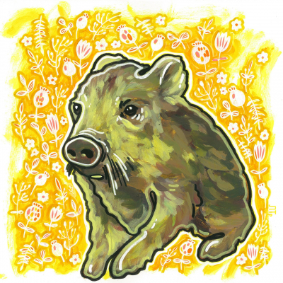 Wild boar