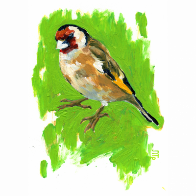 Black-headed goldfinch