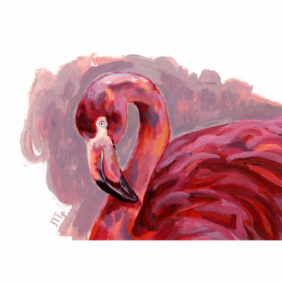 Flamingo