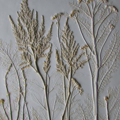 Panel,, Fluffy astilbe” barelph