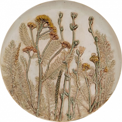 “Autumn meadow”