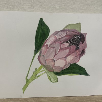 artichoke