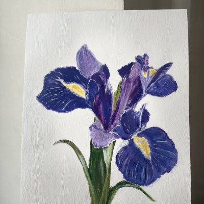 Iris
