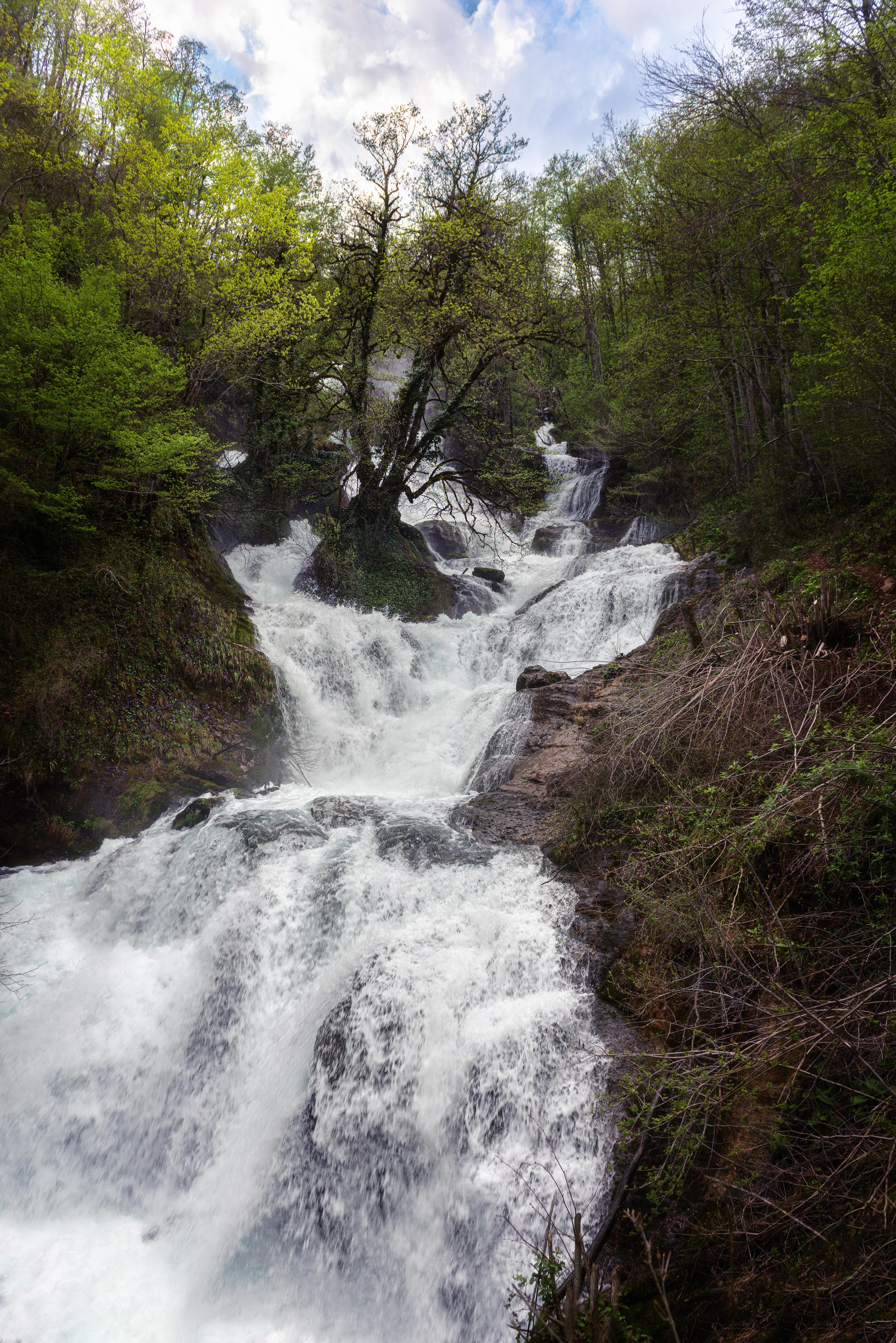 Фото обложки