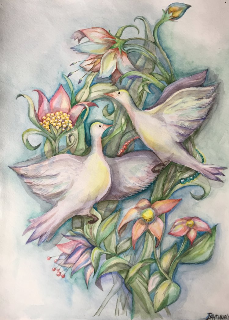 Birds of Paradise