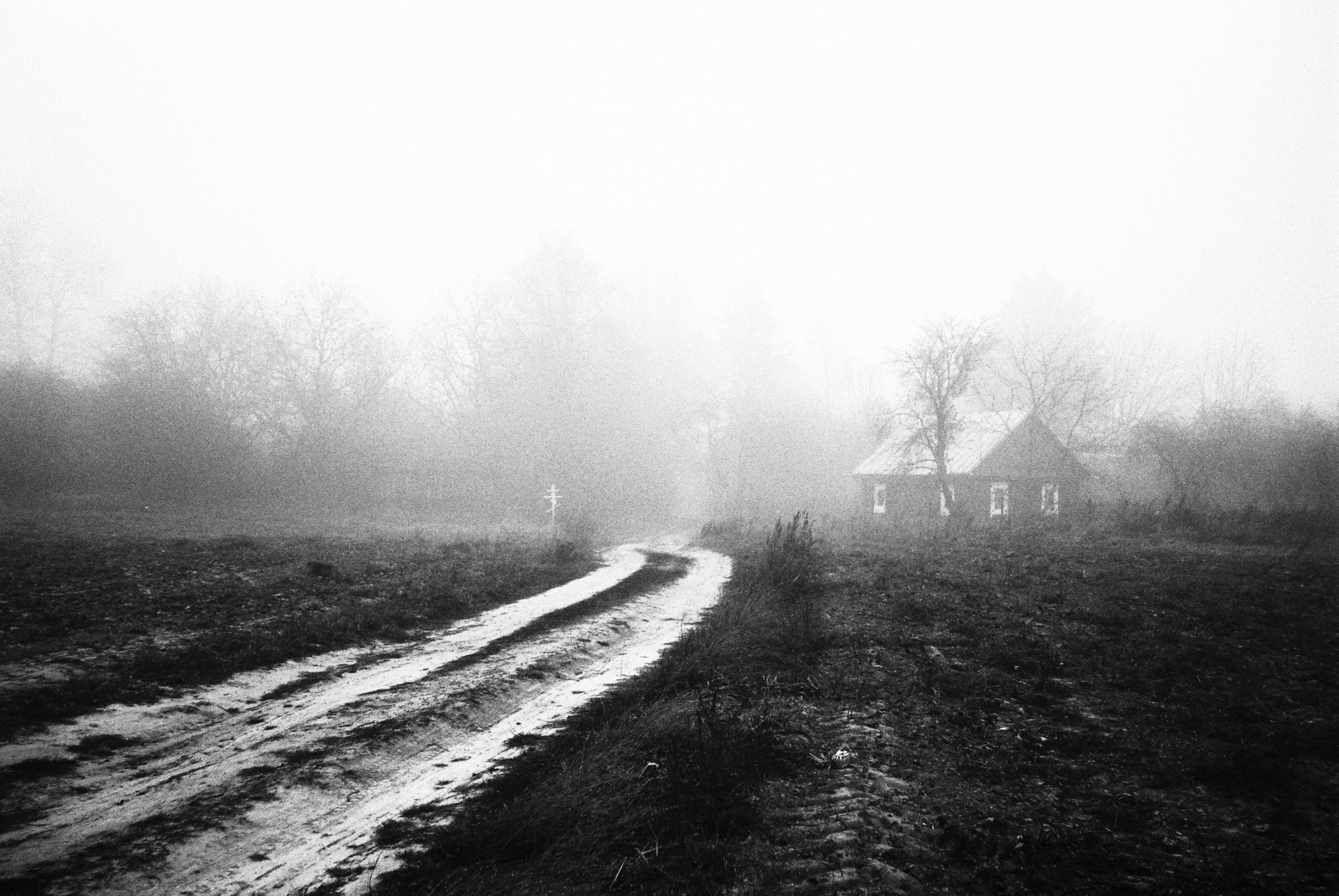 Фото обложки